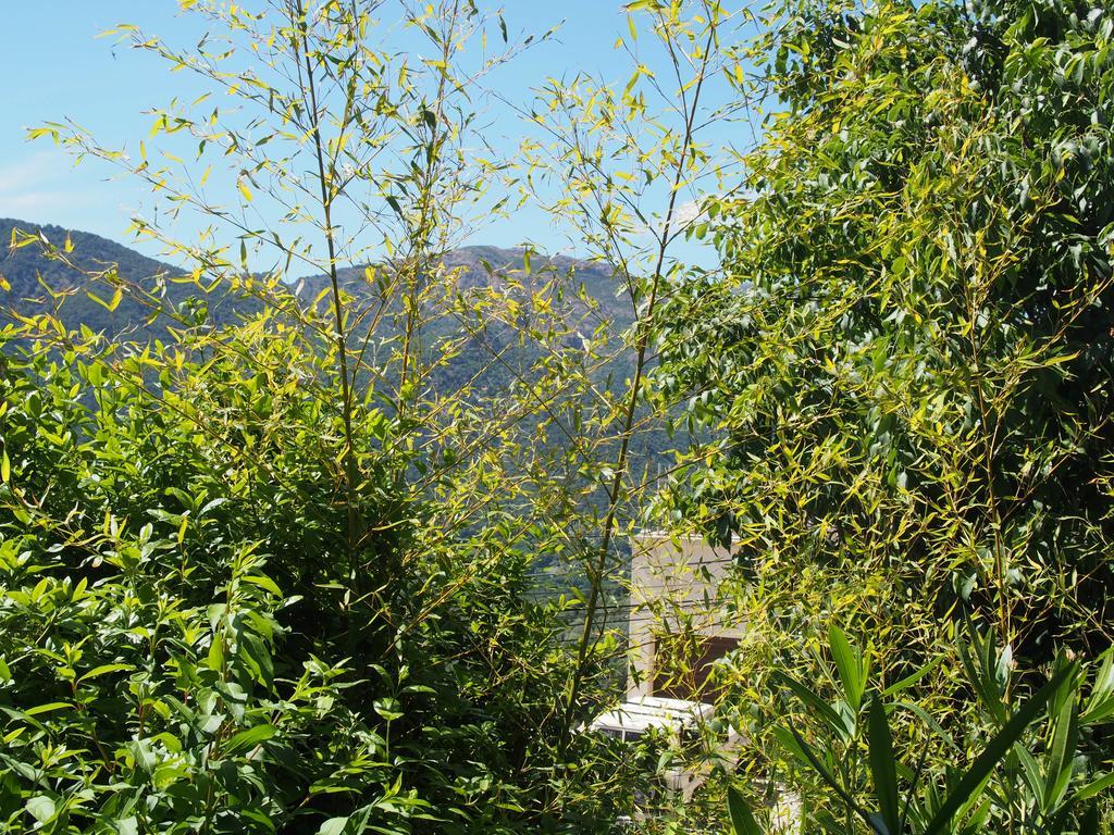 Maison De Vacances - Casa Mezanaccia Avec Terrasse Fleurie Meuble Tourisme 3 Etoiles Santa-Lucia-di-Tallano Exterior photo